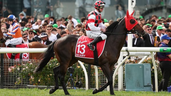 Autumn prep nears for Scary