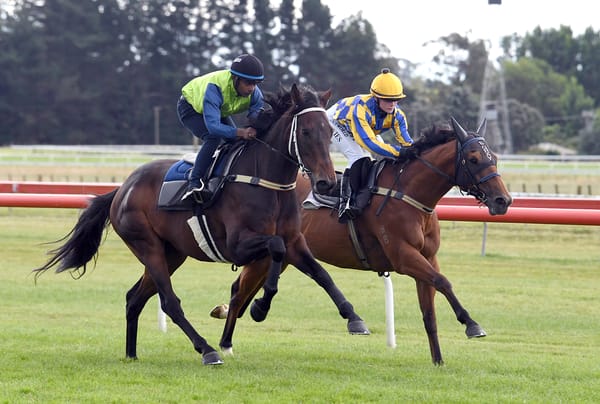 Former Singapore sprinter set for NZ debut