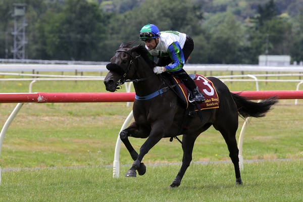 Walker on weather watch ahead of Skew Wiff’s Telegraph tilt