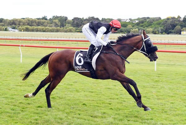 OTI acquires Skippers Canyon ahead of Remutaka Classic