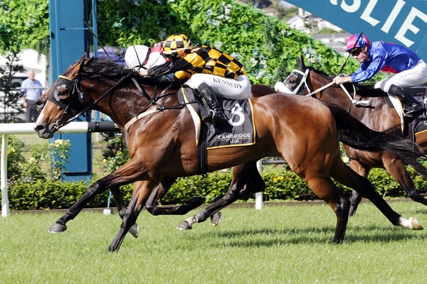 Snazzytavi on Track for Herbie Dyke Stakes