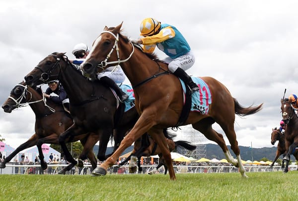 First-starter digs deep for Wellesley win