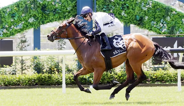 Sweet Reward for Rutten's Hard Work