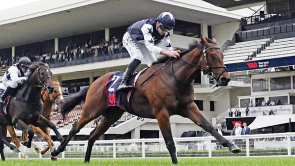 Wynyard Seeks Karaka Million Glory