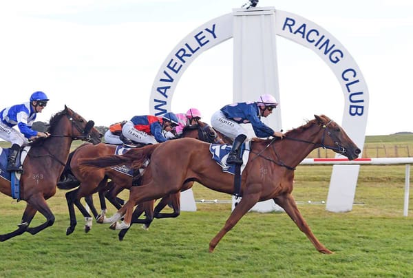 Family Ties in Waverley Oaks Bid