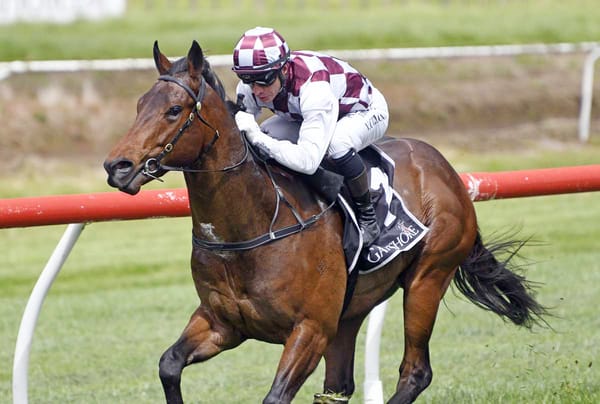 Foote Pair Enjoy Luck at Barrier Draw