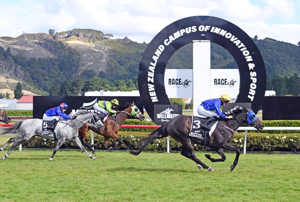 Wolfgang breaks through with Wellington Cup triumph