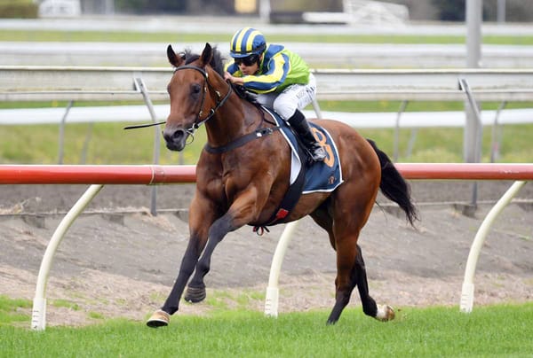 Forsman Chasing Second 3YO Title