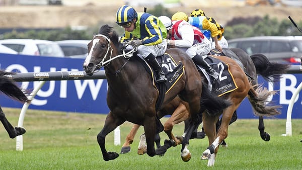 Matamata Race a Timely Lead-Up for NZB Kiwi Hope