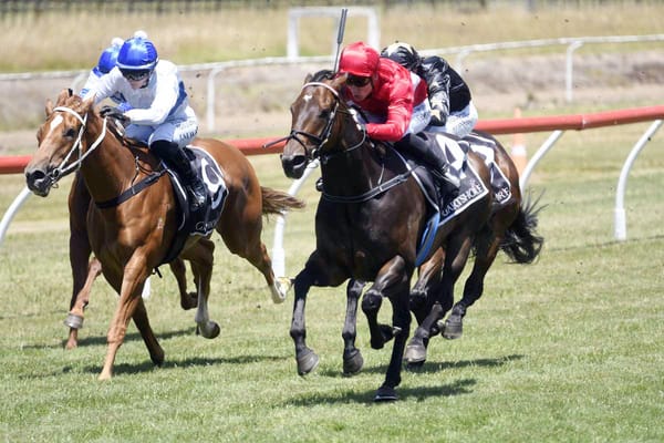 Atmospheric Set for 3YO Feature Test