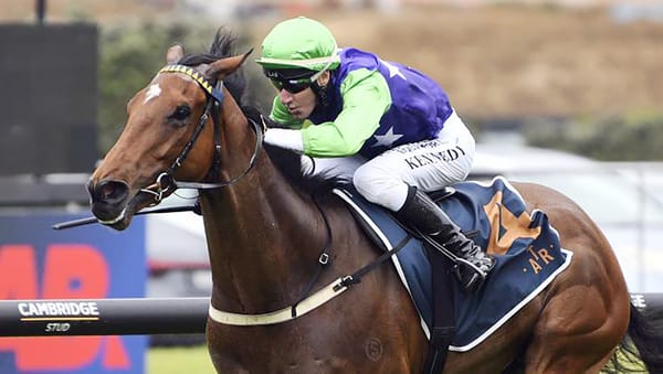 Wexford’s Uncle Remus Quartet Sets Sights on NZB Kiwi