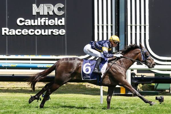 Group One target for Classy Coeur Volante