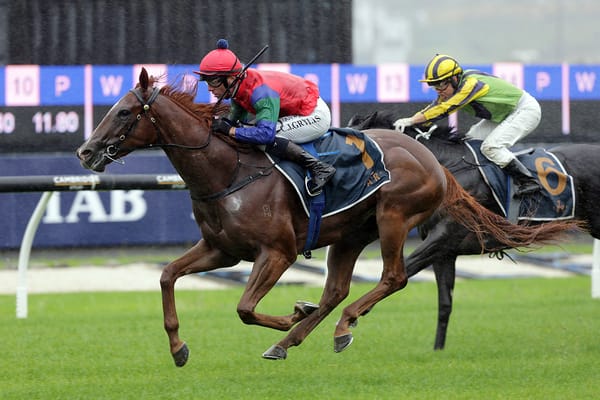 Tauranga challenge awaits NZB Kiwi contender