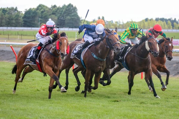 Winning debut in the South for Eastandwest