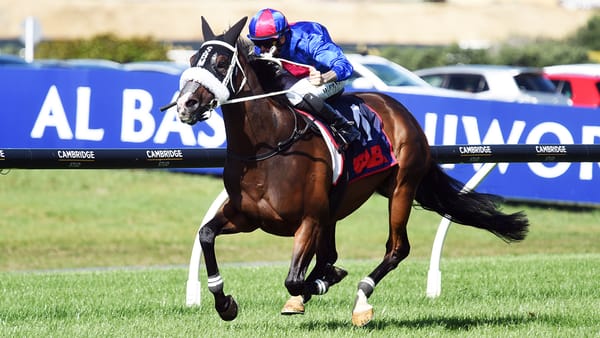 Another Day at the Office for Outstanding El Vencedor