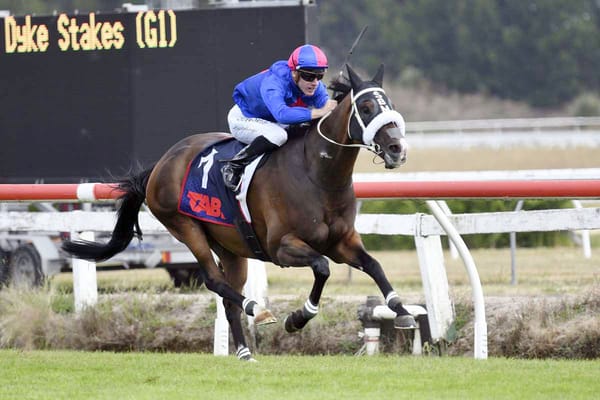 Hong Kong adventure awaits El Vencedor