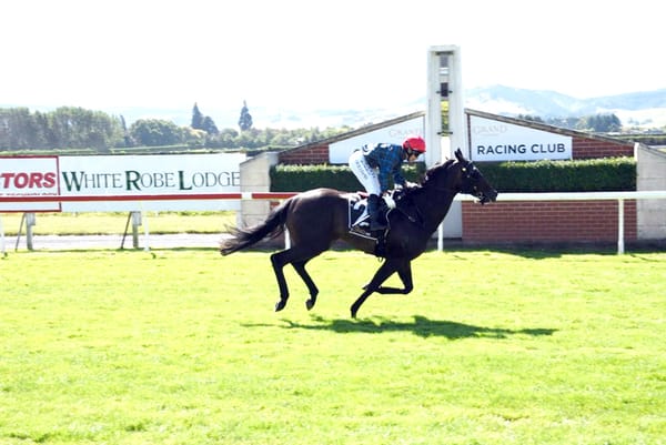 Northern visitor too strong in Hazlett Stakes