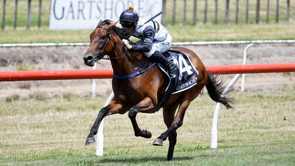 Way Out West makes winning debut