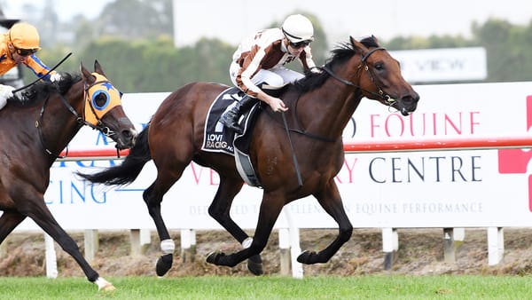 Legarto Set for Highly Anticipated Comeback