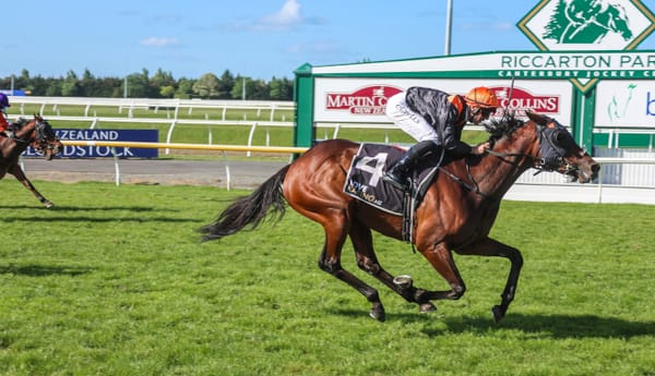 Mehzebeen on Adelaide Cup path