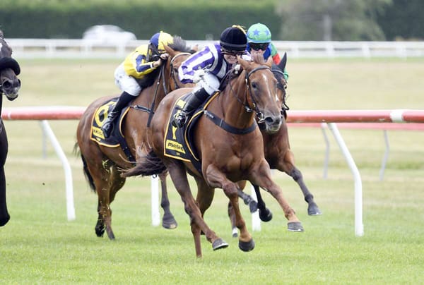 King enjoying strong start with Mid Ocean