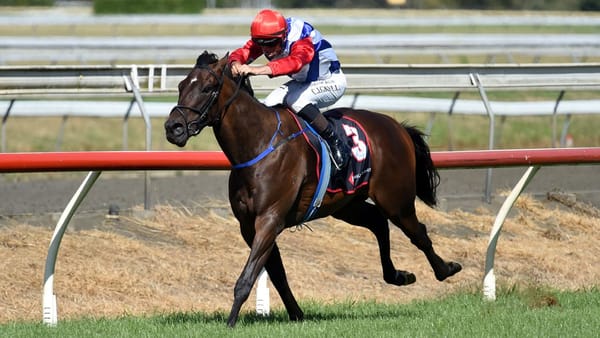 Wallbank’s pride and joy stars on home track