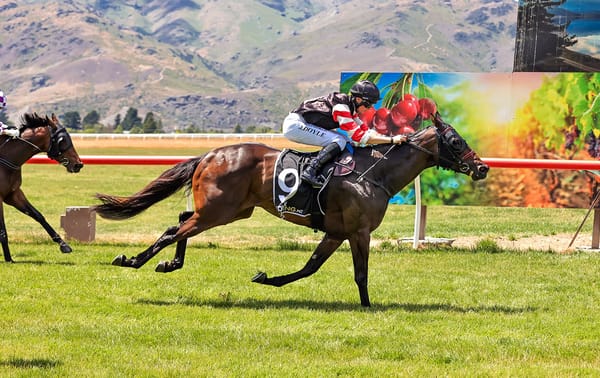 Local Mare Eyes Consecutive Wins at Ascot Park