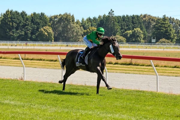 Pivotal Ten sensational in Gore Guineas romp