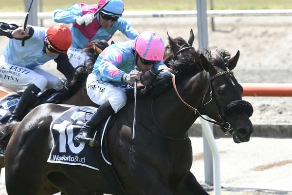 Moschino making her mark for Falconer