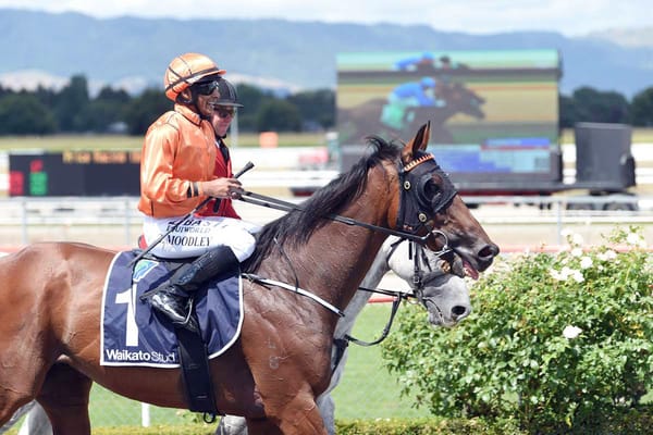 Nicconi County on the board in New Zealand