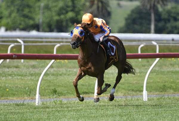 Te Akau fillies on stakes trial at Riccarton