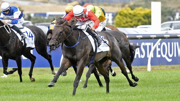 James and Wellwood set for more time in Ellerslie spotlight