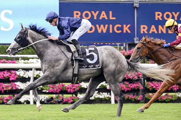 Guineas focus for Public Attention