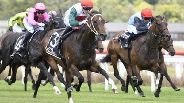 Barneswood Brady Nakhle Hoping for NZB Kiwi Golden Ticket