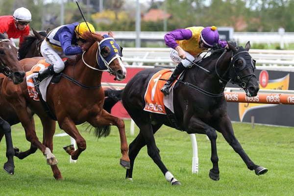 Rhinoceros steps up in distance