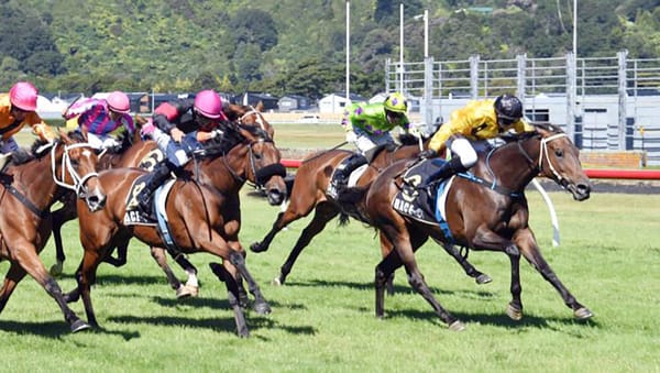 Wairarapa mare eyes stakes success at home