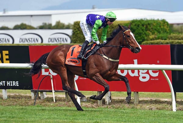 Auckland Cup calling for Sassy Lass