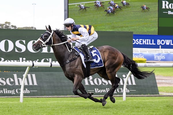 Step Aside bags deserved Sydney win