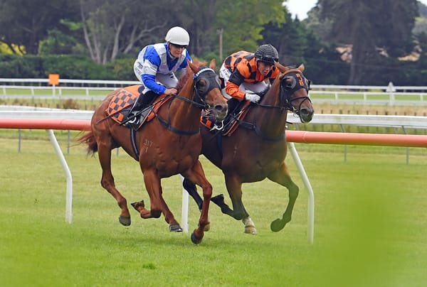 Class mare eyes elite title in swansong campaign