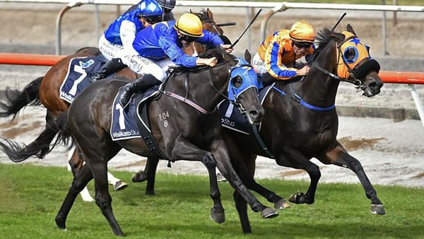 Embellish 4YO headlines memorable day for stud