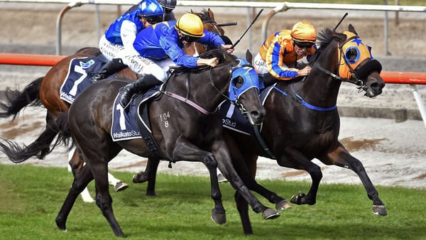 What You Wish For completes big treble for Te Akau