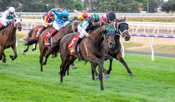Captain Pluto Captures Bunbury Cup