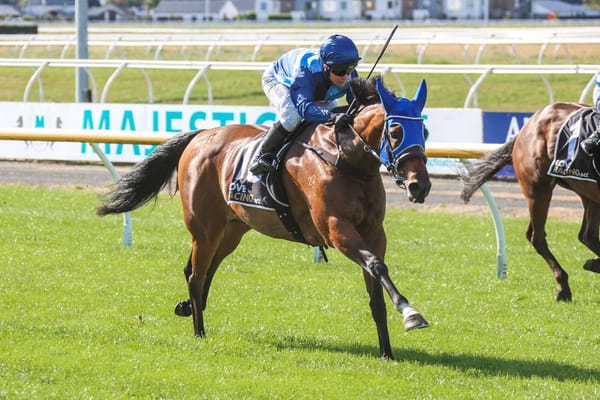 Stakes redemption calling for Contemplation Bay