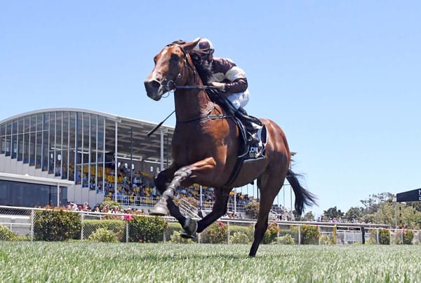 Injury Cuts Short Promising Juvenile’s Season