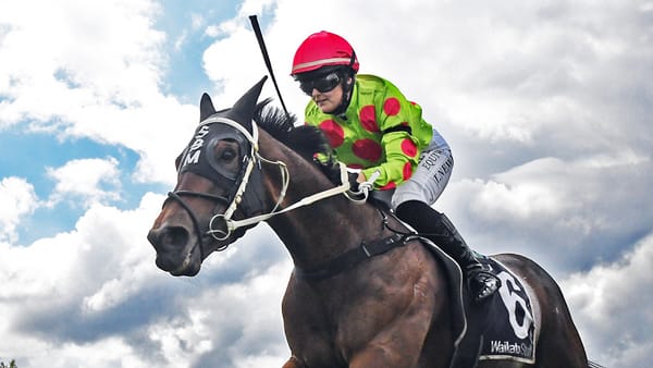 Doddle too strong at Matamata