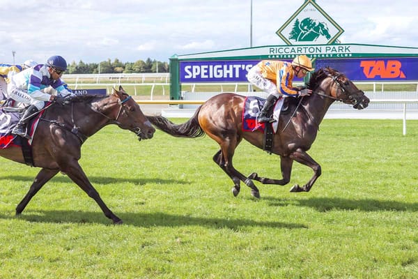 Promising Filly Makes Dream Return