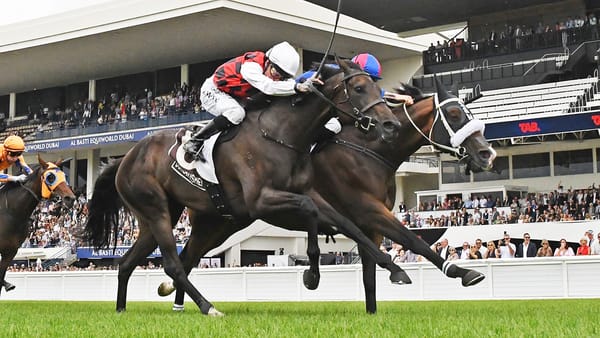 Thrilling finish to Bonecrusher New Zealand Stakes