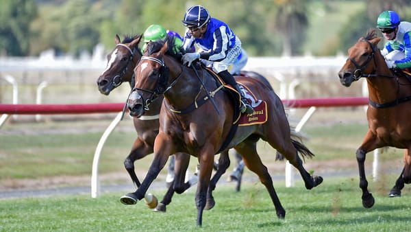 Group Two season swansong for in-form mare