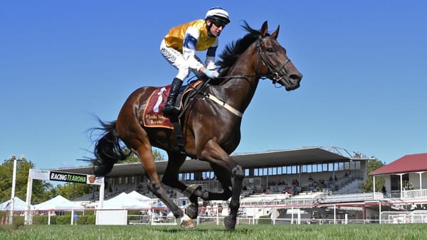 Smart galloper first home again at Te Aroha