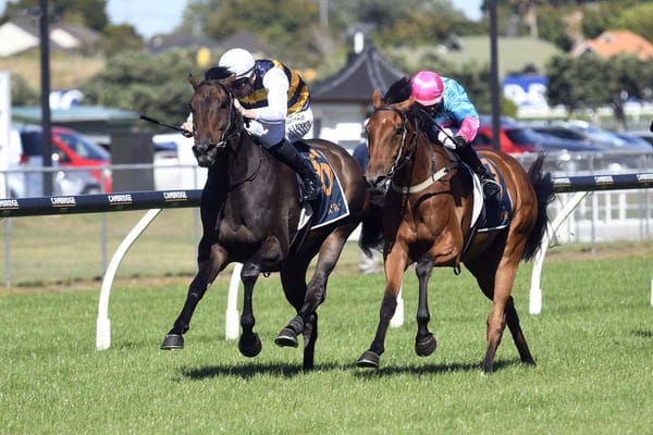 Golden Century Set for Derby Trial at Rosehill